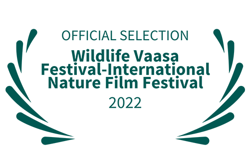 OFFICIAL SELECTION - Wildlife Vaasa Festival-International Nature Film Festival - 2022
